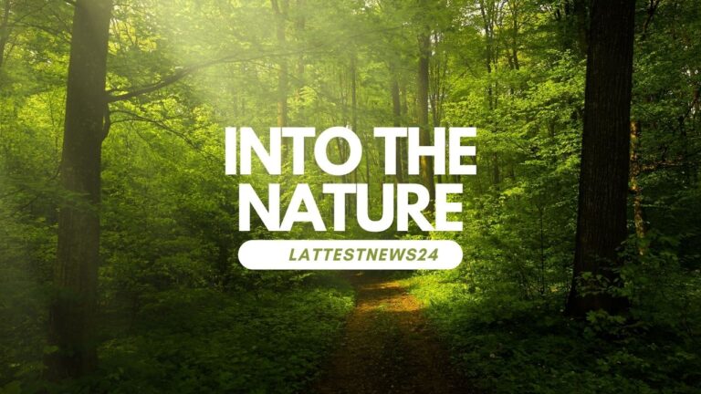 "50+ products to make your life easier and our planet cleaner " Lattestnews24