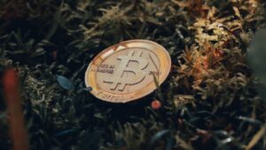 Crypto Market in Pressure, Bitcoin Price less than USD 56,600, Solana, Ether, Litecoin-lattestnews24