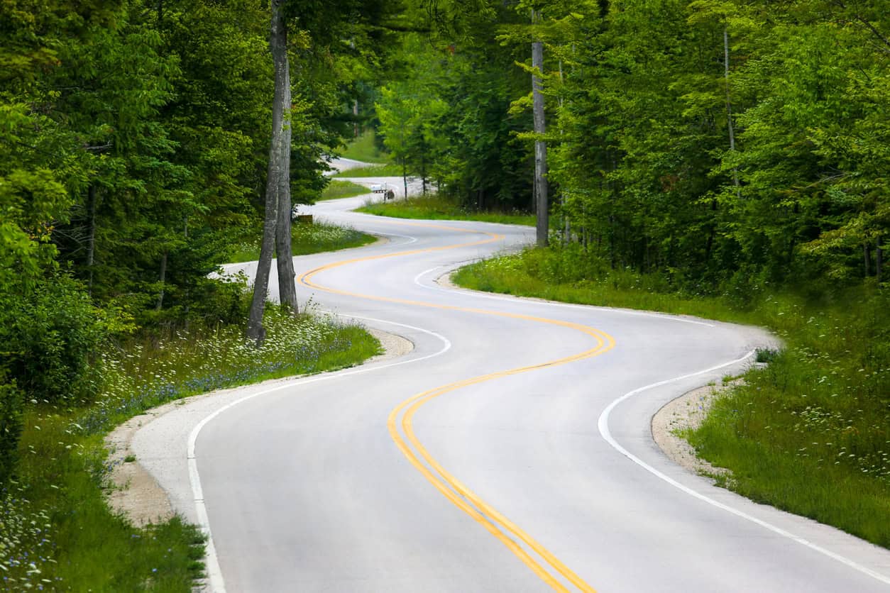 Beech-side views: The long and winding road… to sector stability