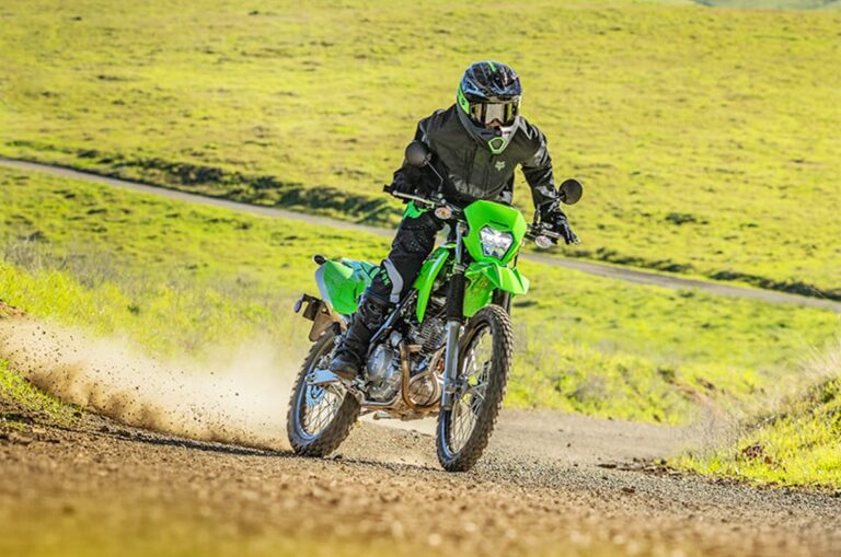 Kawasaki KLX 230 S, photo gallery, engine, display