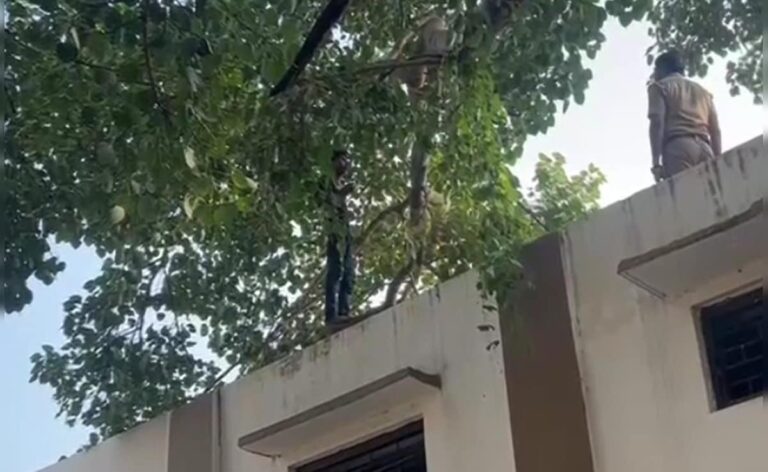 UP: The thief climbed a tree under the influence of alcohol... started making strange demands, police issued challan