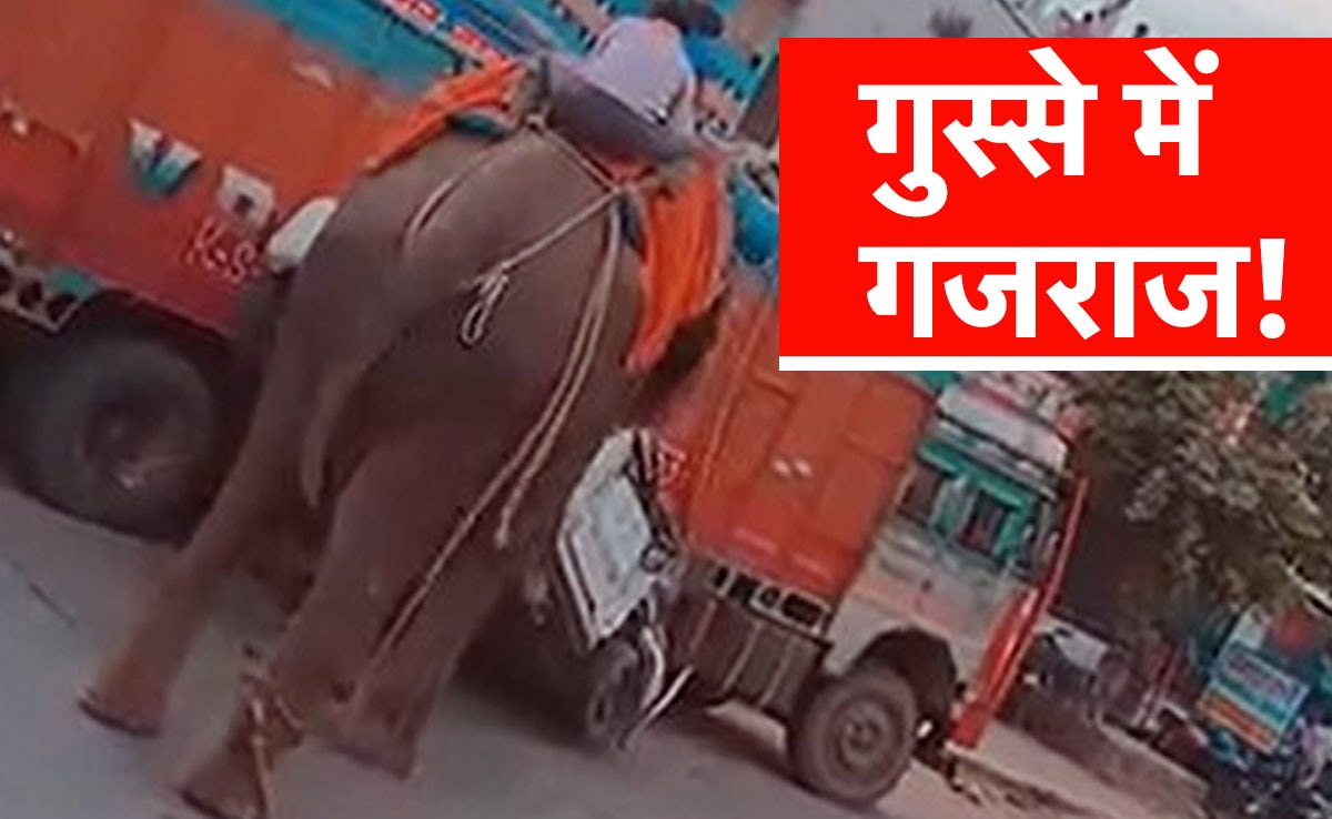 VIDEO: Elephant participating in Dussehra procession went out of control, created havoc; crushed many vehicles