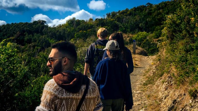 People walking on a nature trail in Wellington, New Zealand.